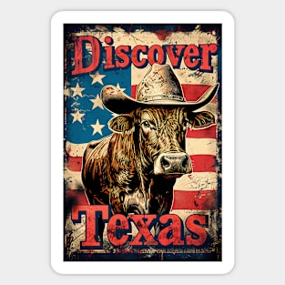 Discover Texas Sticker